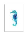 Marine paintings - Watercolour seahorse Andrea Haase | FEEBY