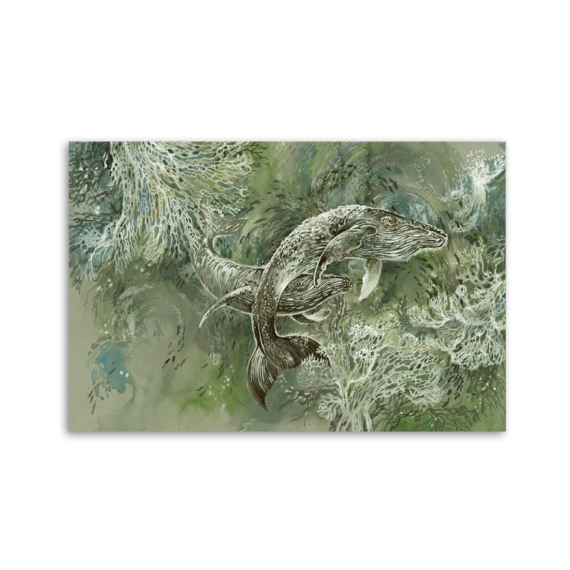 Bild auf Leinwand - Ein Paar Wale von Humbacks | Feeby