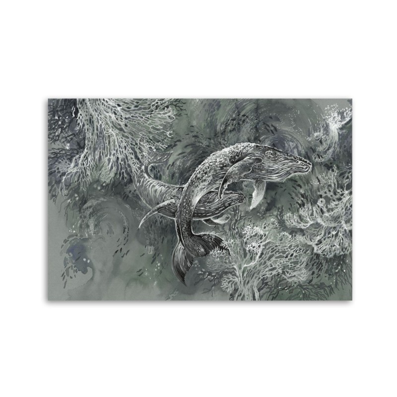 Leinwandbild - Ein Paar Wale von Humbacks | Feeby