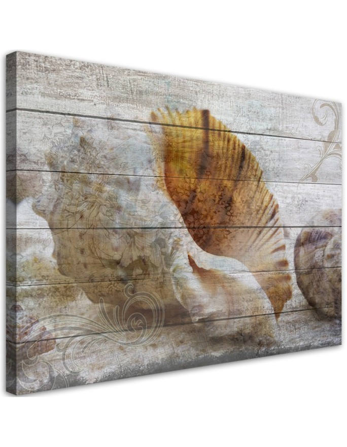 Leinwandbild - Muscheln Vintage Stil | Feeby