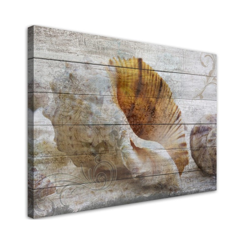 Leinwandbild - Muscheln Vintage Stil | Feeby