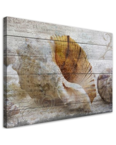 Leinwandbild - Muscheln Vintage Stil | Feeby