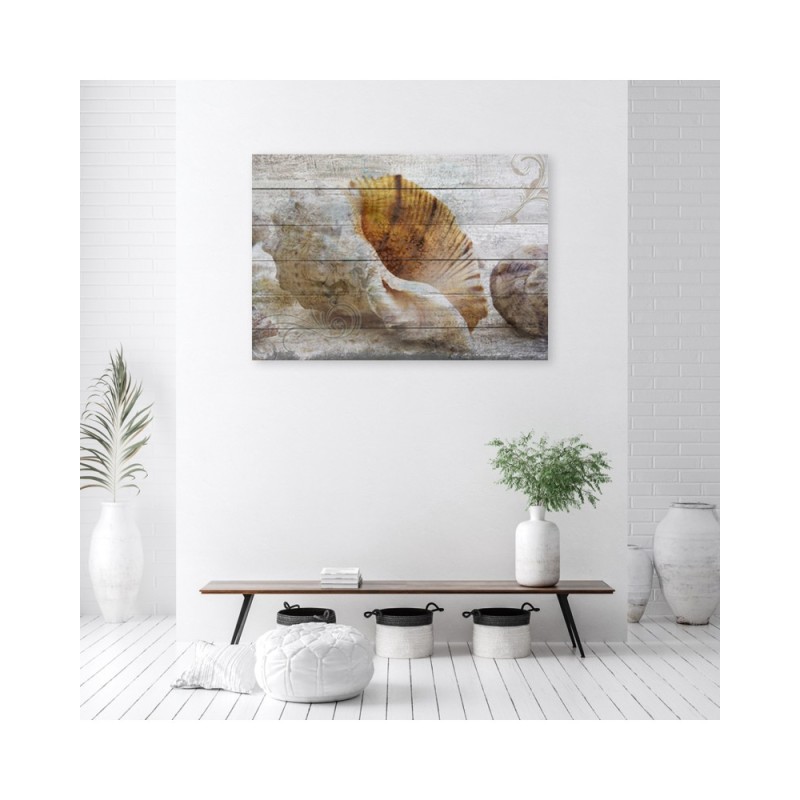 Leinwandbild - Muscheln Vintage Stil | Feeby