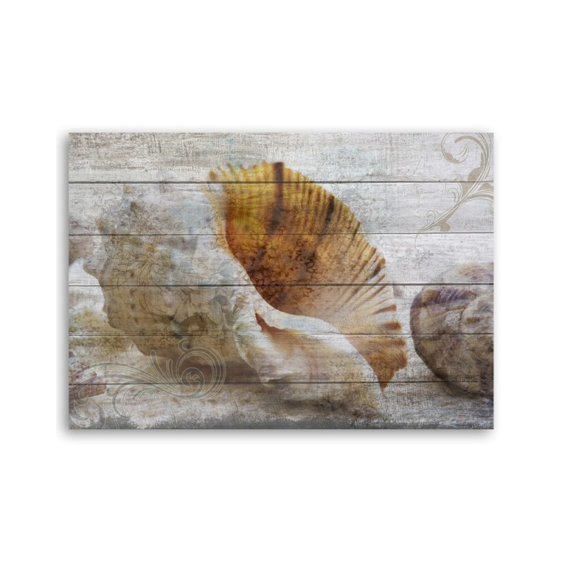 Leinwandbild - Muscheln Vintage Stil | Feeby