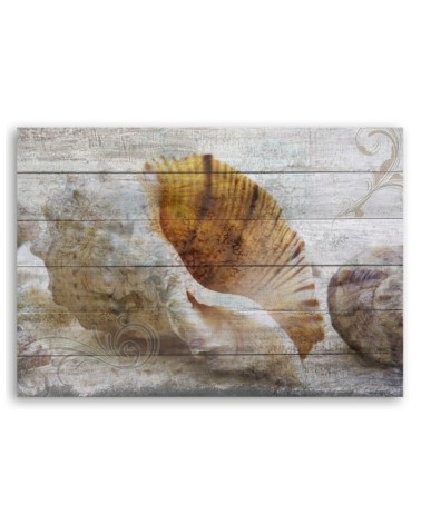 Leinwandbild - Muscheln Vintage Stil | Feeby