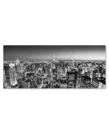 Bild auf Leinwand - Skyline von New York | Feeby