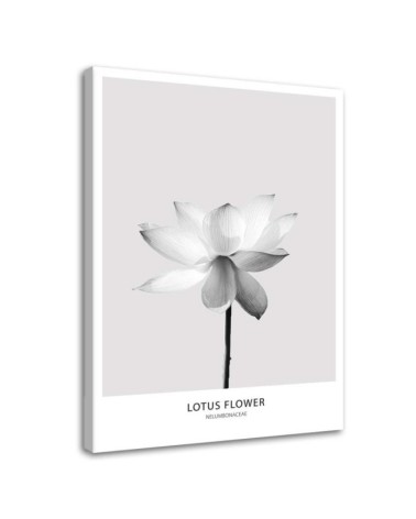 Abstract painting on canvas - White lotus flower | FEEBY