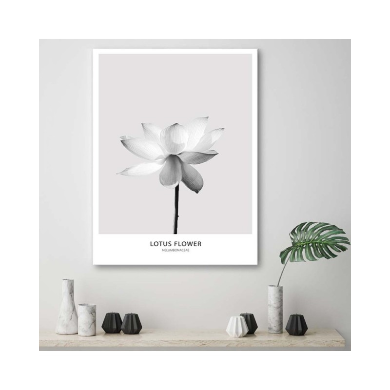 Modernes Wandbild - Weiße Lotosblume | Feeby