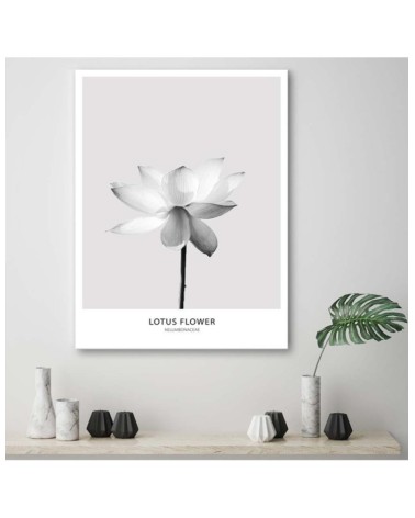 Modernes Wandbild - Weiße Lotosblume | Feeby