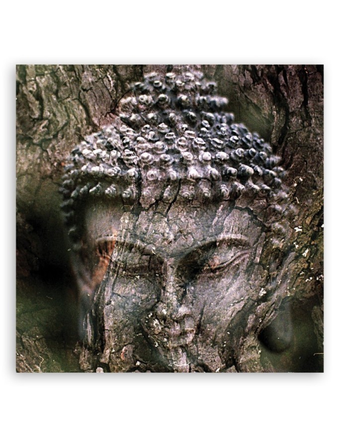 Budda zen spa - Obraz abstrakcja na płótnie | FEEBY