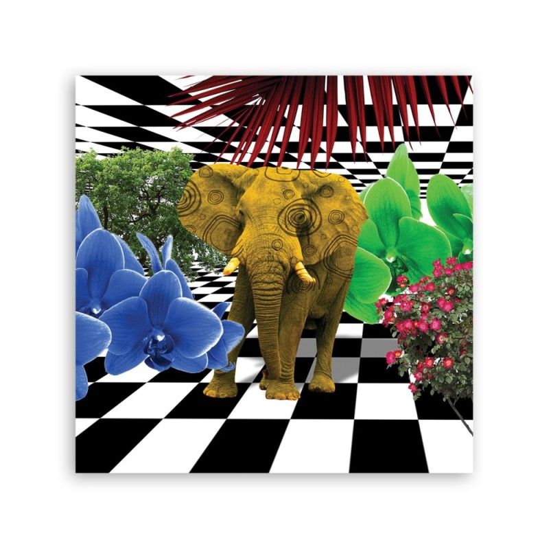 Leinwandbild - Buntes Elefant | Feeby