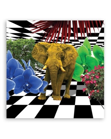 Leinwandbild - Buntes Elefant | Feeby