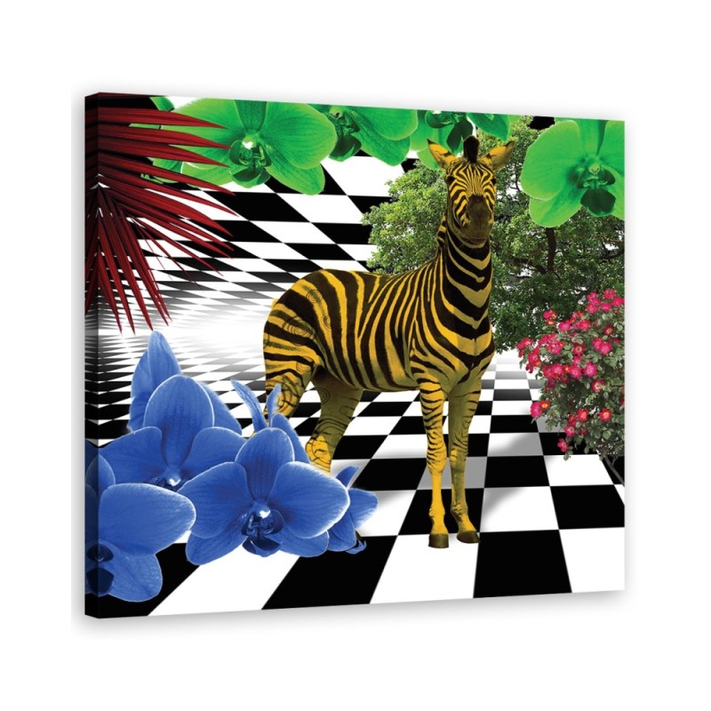 Kolorowa zebra natura zwierzęta - Obraz na ścianę canvas | FEEBY