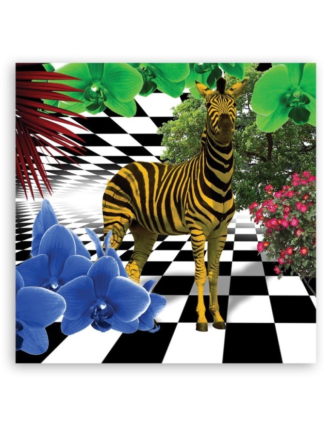 Kolorowa zebra natura zwierzęta - Obraz na ścianę canvas | FEEBY