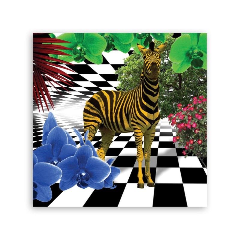 Bild auf Leinwand - Bunte Zebra Tiere | Feeby