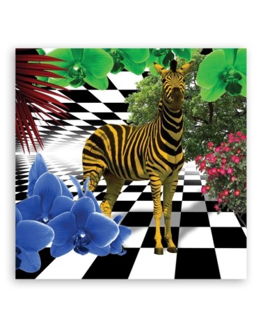 Bild auf Leinwand - Bunte Zebra Tiere | Feeby