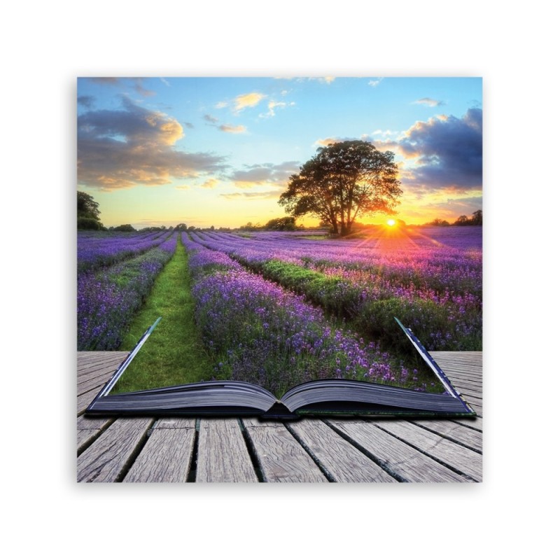 Leinwanddruck - Landschaften - Lila | Feeby