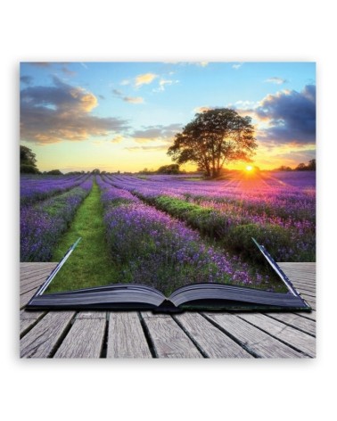 Leinwanddruck - Landschaften - Lila | Feeby