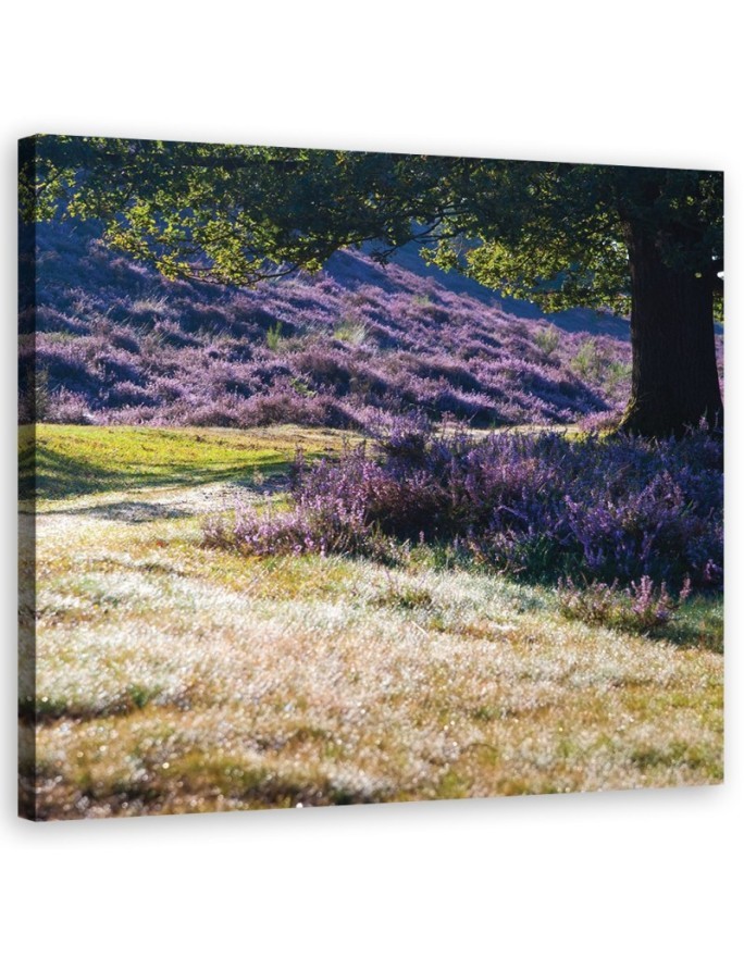 Bild auf Leinwand - Landschaften - Lila | Feeby