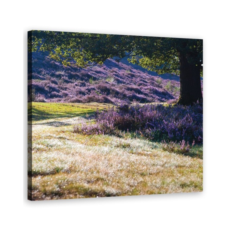 Bild auf Leinwand - Landschaften - Lila | Feeby