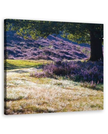 Landscape lavender meadow - Canvas painting for living room canvas | FEEBY
