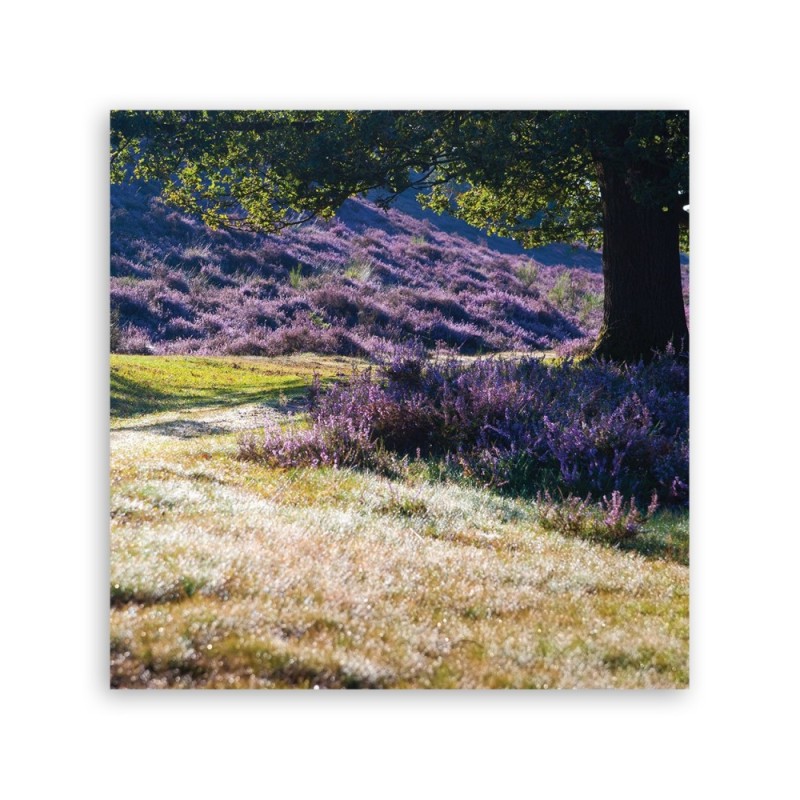 Bild auf Leinwand - Landschaften - Lila | Feeby