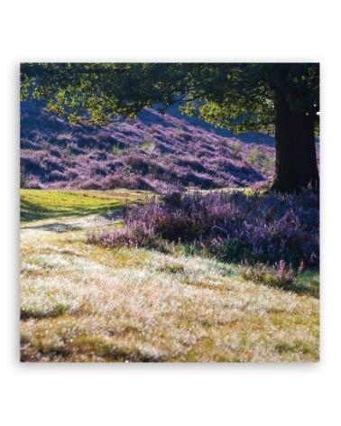 Bild auf Leinwand - Landschaften - Lila | Feeby