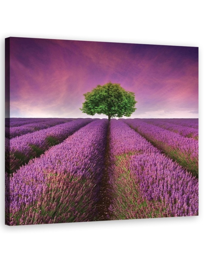 Leinwandbild - Landschaften - Lila | Feeby