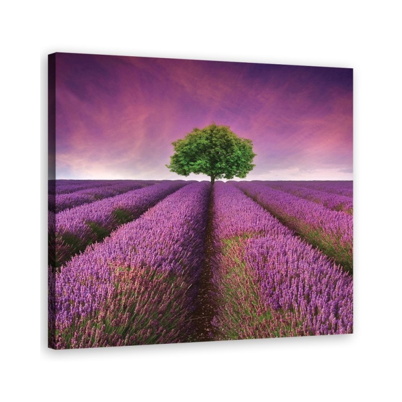 Leinwandbild - Landschaften - Lila | Feeby