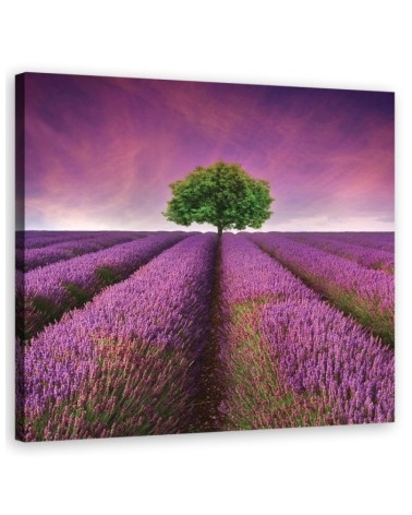 Landscape violet - Pictures on Canvas for the living room canvas | FEEBY