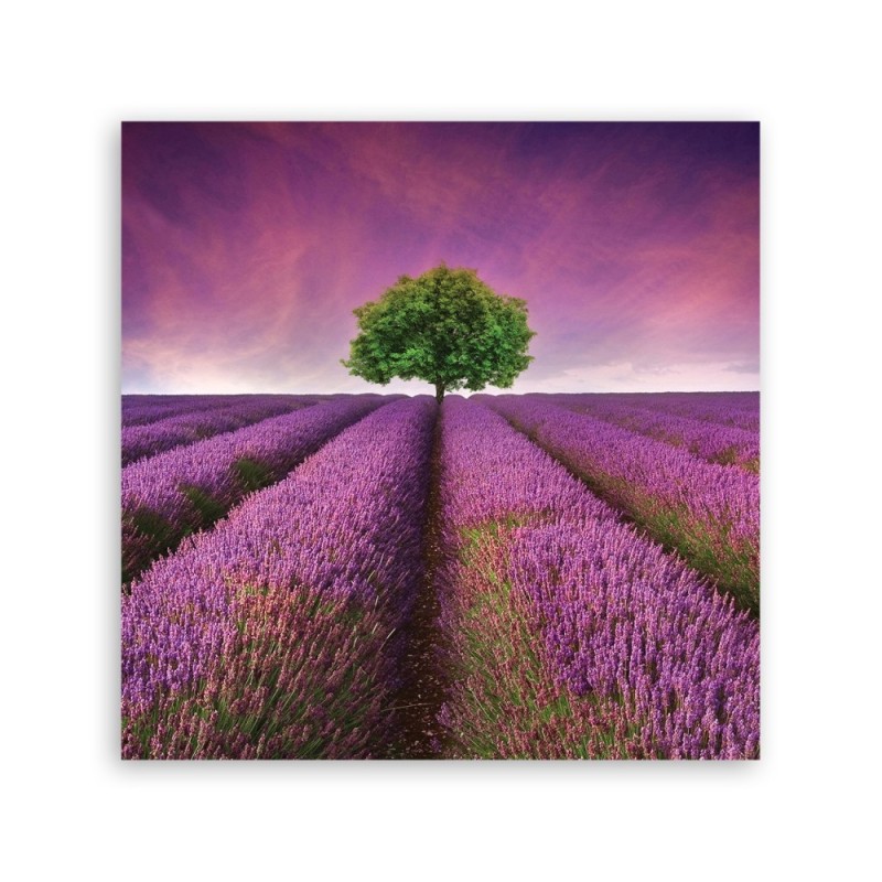 Leinwandbild - Landschaften - Lila | Feeby