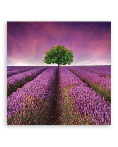 Leinwandbild - Landschaften - Lila | Feeby