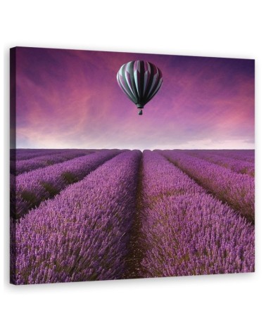 Lavender field landscape - Printed Canvas prints for living room | FEEBY