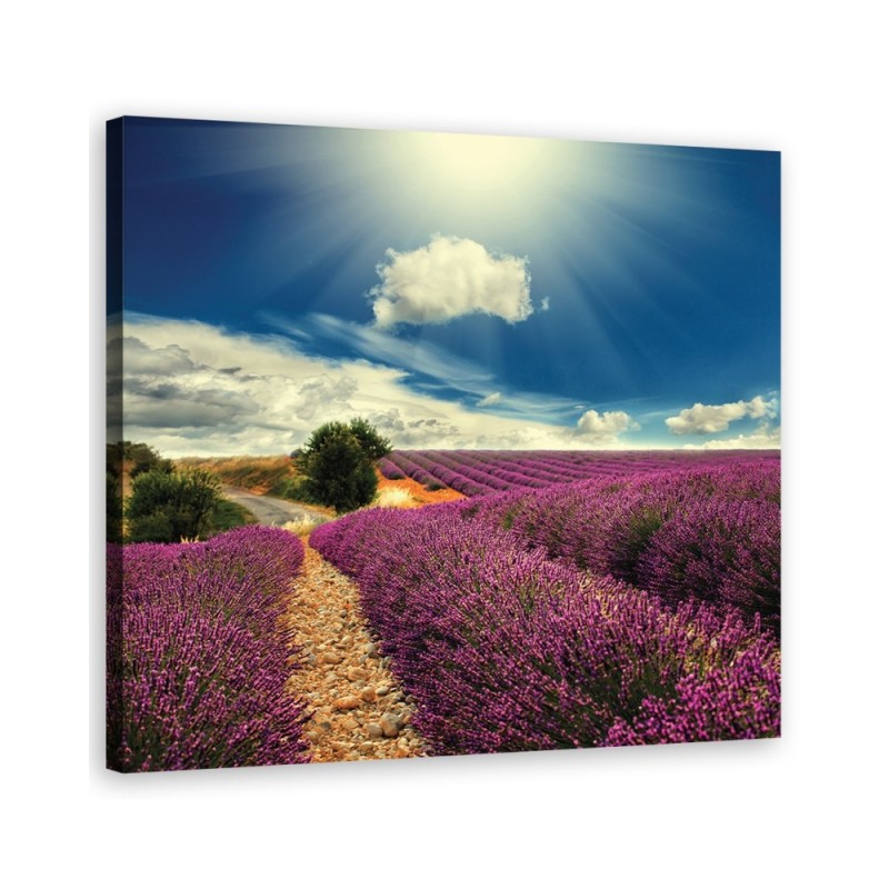 Leinwandbild - Landschaften - Lila | Feeby