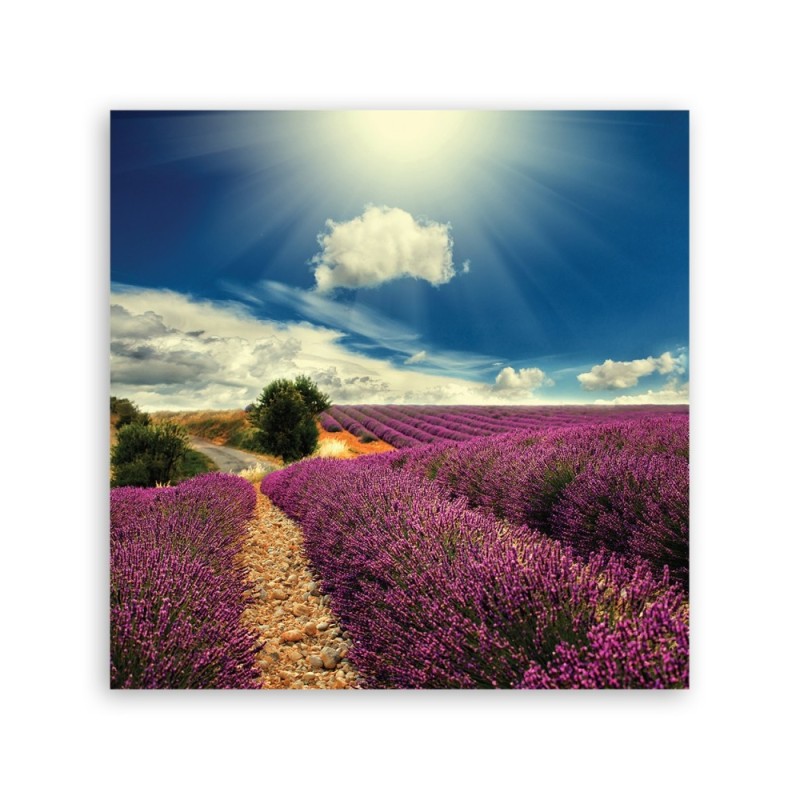 Leinwandbild - Landschaften - Lila | Feeby