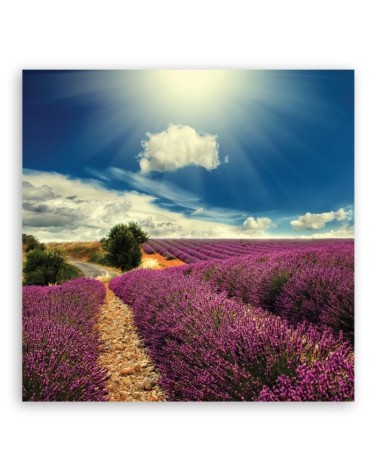 Leinwandbild - Landschaften - Lila | Feeby