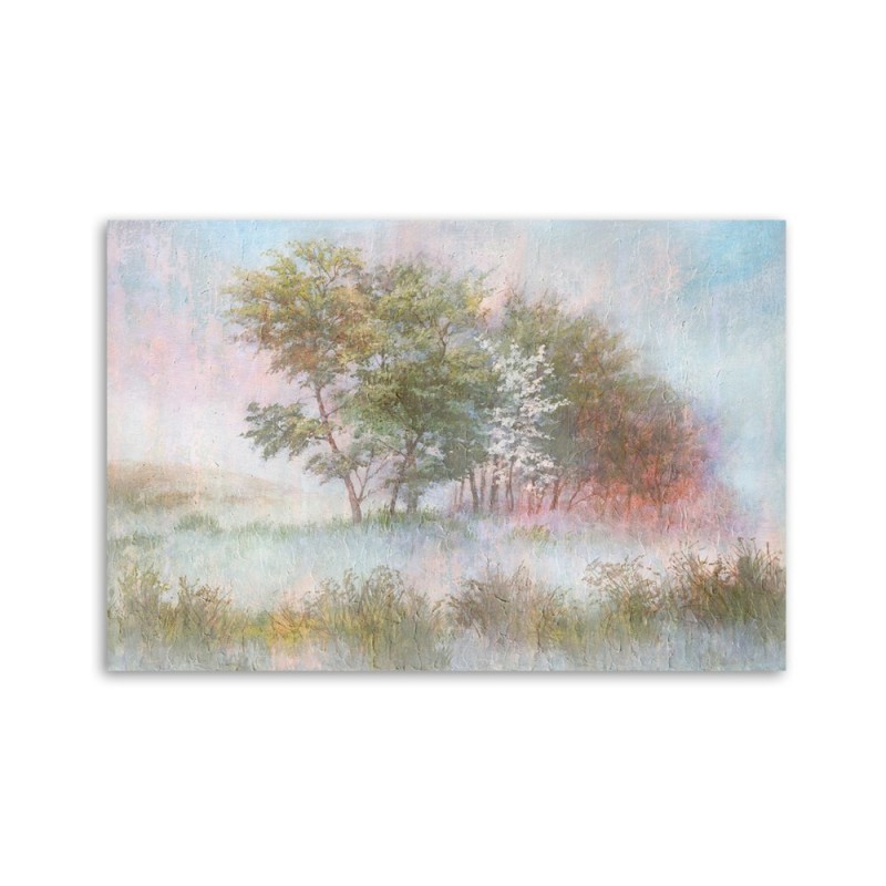 Bild auf Leinwand - Bäume auf einer nebligen Wiese | Feeby