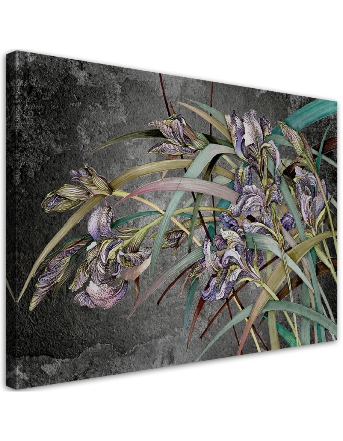 Kwiaty Irysy na wietrze - Obraz na ścianę canvas | FEEBY