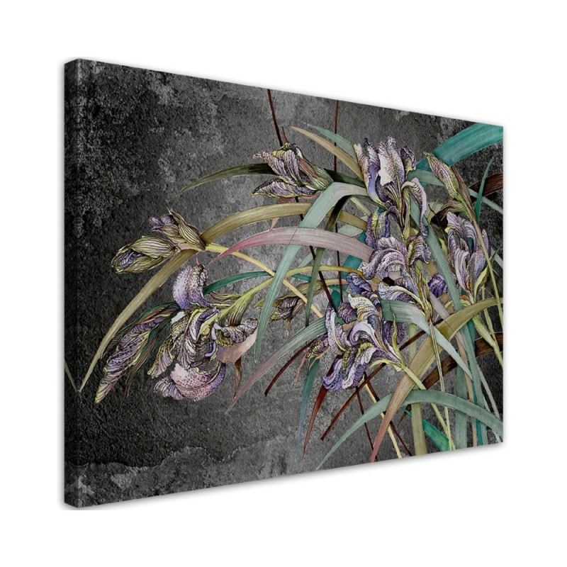 Kwiaty Irysy na wietrze - Obraz na ścianę canvas | FEEBY