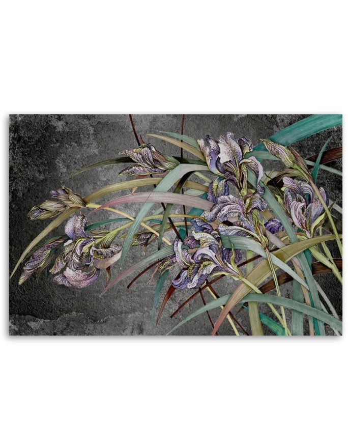 Kwiaty Irysy na wietrze - Obraz na ścianę canvas | FEEBY