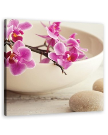 Różowe orchidee w naczyniu - Nowoczesny obraz do salonu | FEEBY