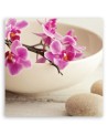 Różowe orchidee w naczyniu - Nowoczesny obraz do salonu | FEEBY