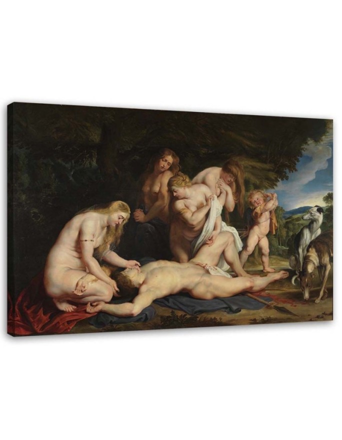 Leinwandbild - Tod des Adonis - P. P. Rubens Reproduktion | Feeby