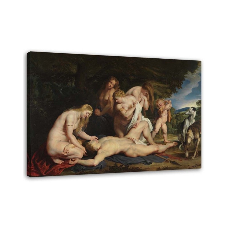 Leinwandbild - Tod des Adonis - P. P. Rubens Reproduktion | Feeby