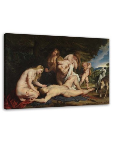 Leinwandbild - Tod des Adonis - P. P. Rubens Reproduktion | Feeby