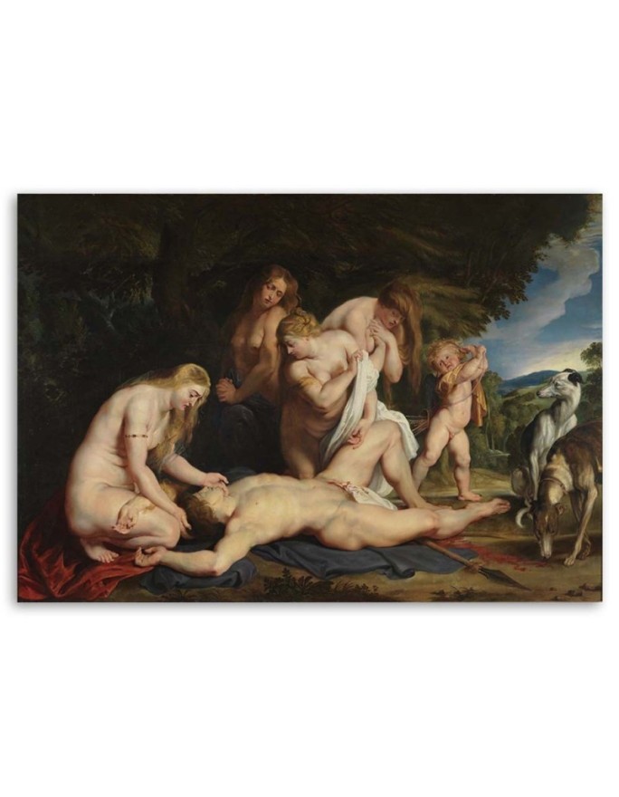 Śmierć Adonisa P. P. Rubens - Reprodukcje artystów | FEEBY