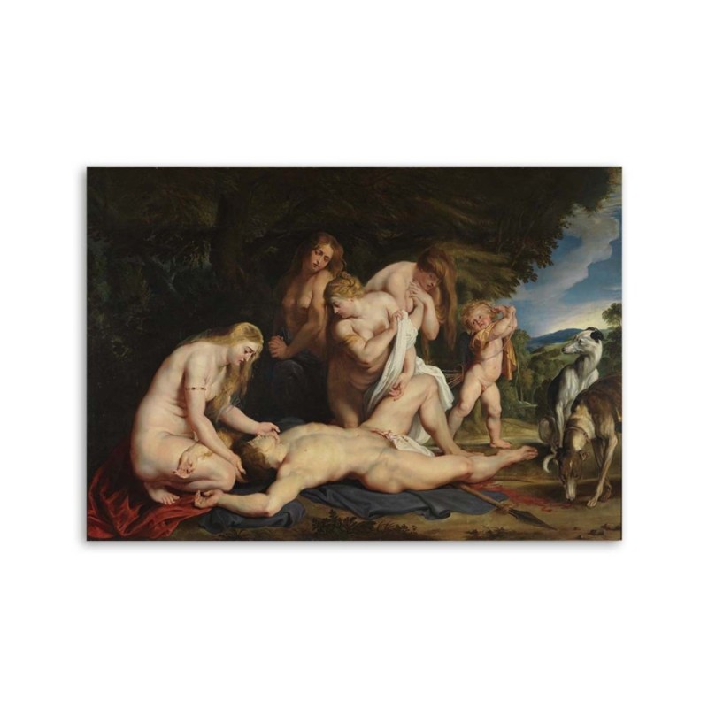 Leinwandbild - Tod des Adonis - P. P. Rubens Reproduktion | Feeby