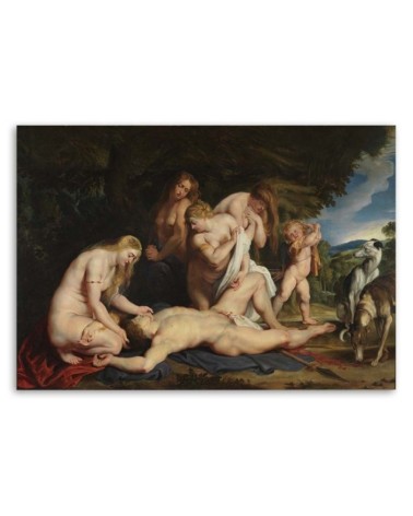 Leinwandbild - Tod des Adonis - P. P. Rubens Reproduktion | Feeby