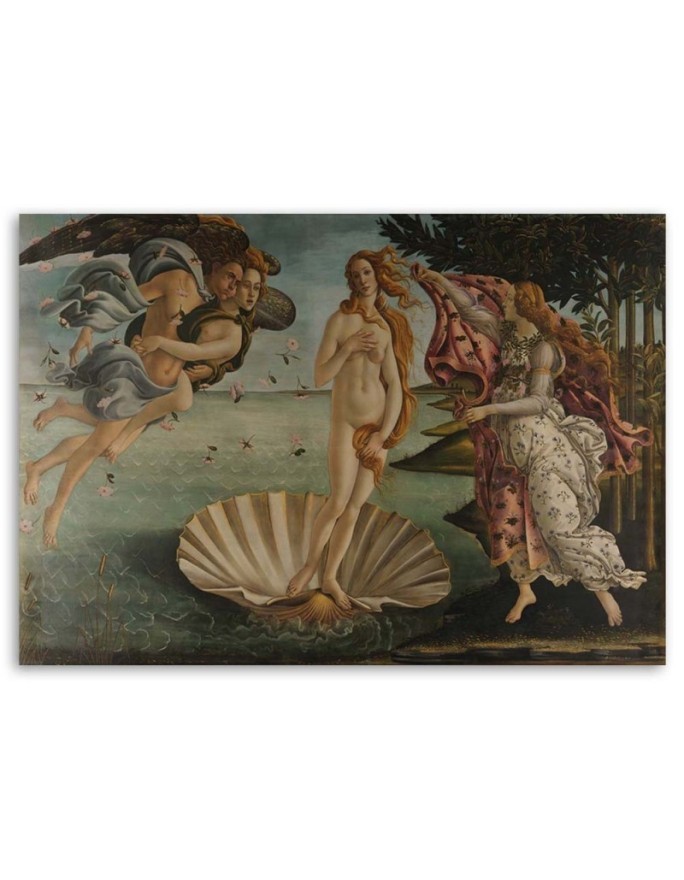 Narodziny Wenus S. Botticelli - Reprodukcje obrazy | FEEBY