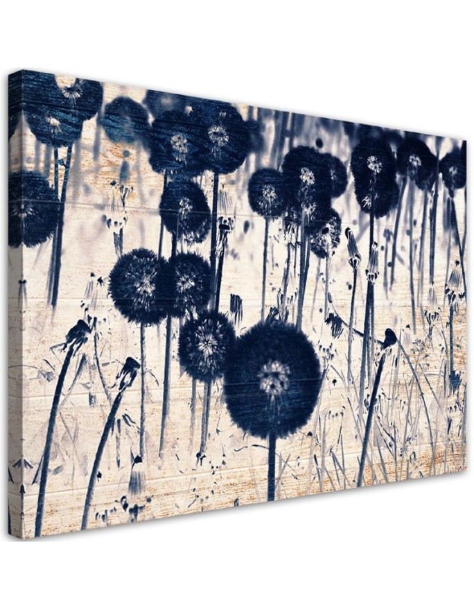 Leinwandbild - Pusteblume auf alten Brettern | Feeby